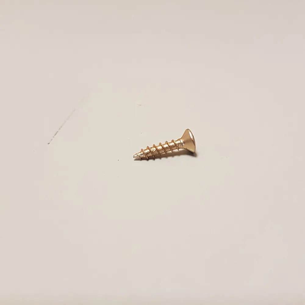 Schraube (2x10mm)